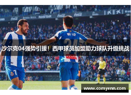 沙尔克04强势引援！西甲球员加盟助力球队升级挑战